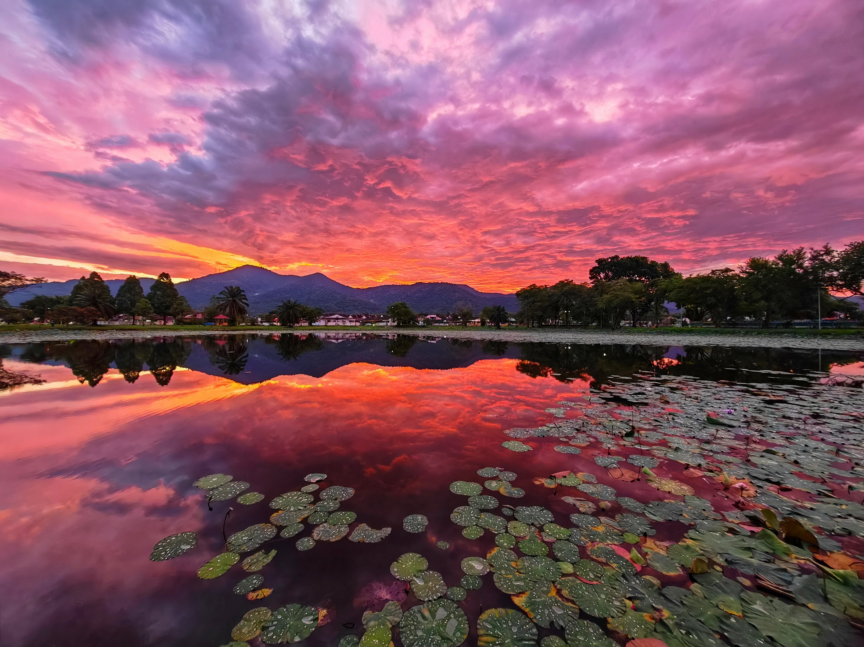 C16 Goh Ah Poon Perak