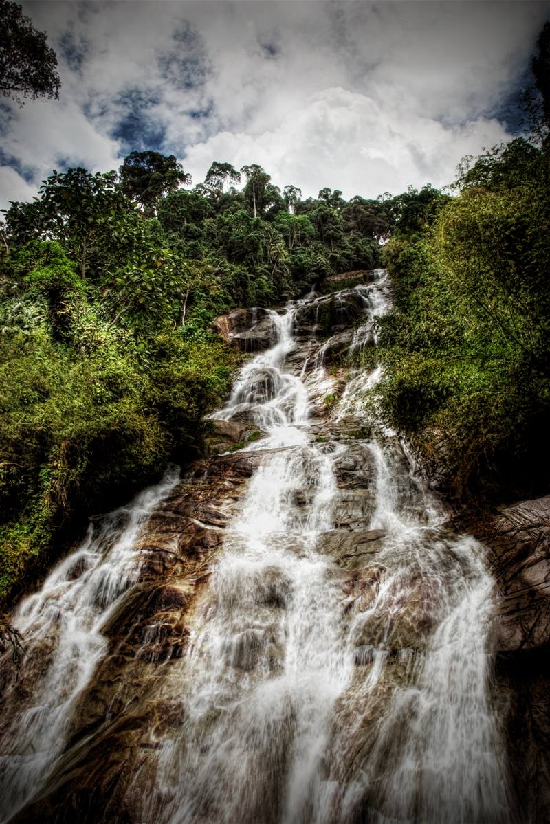 Lata Kinjang 01