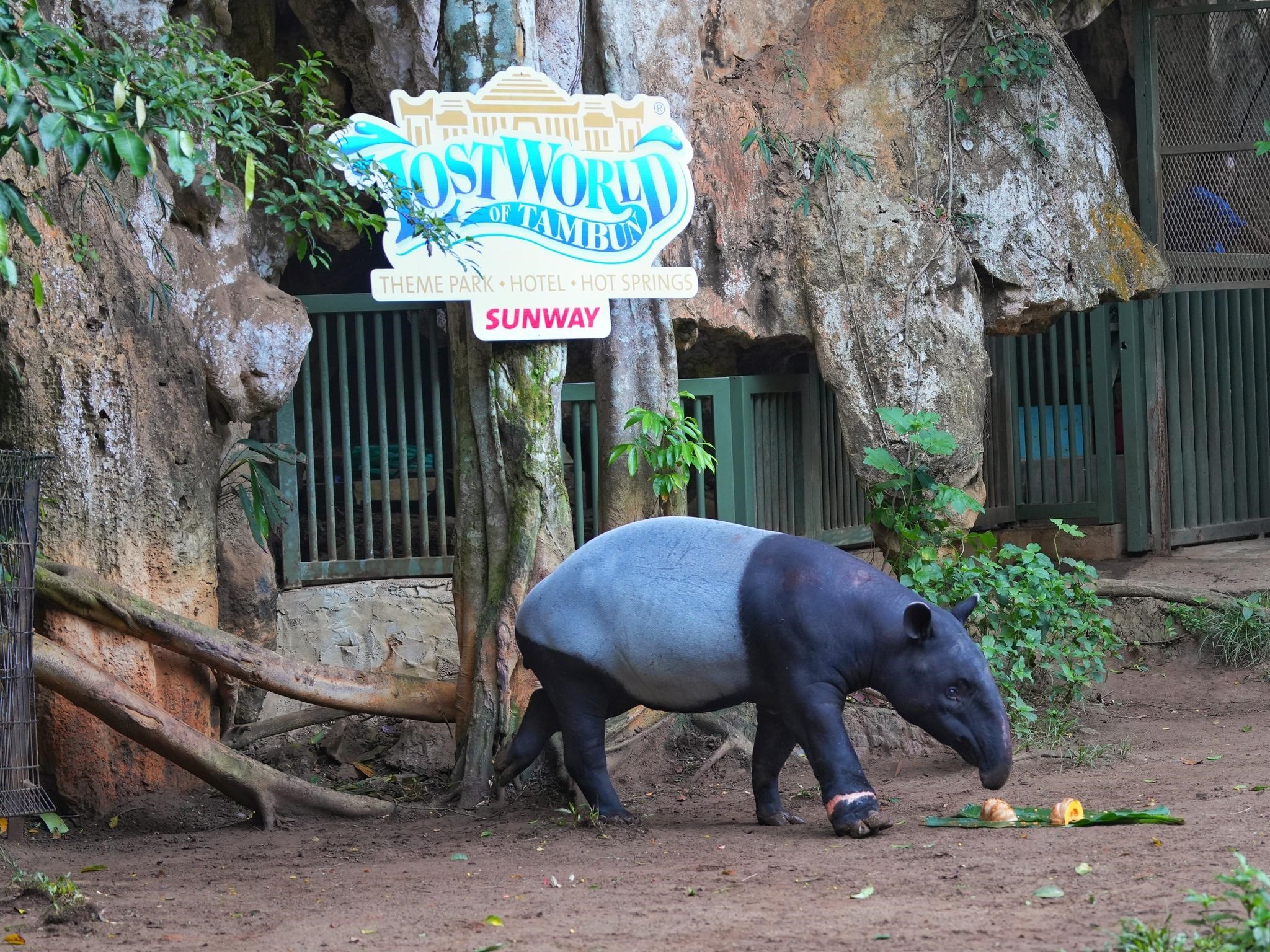 Lost World of Tambun 11