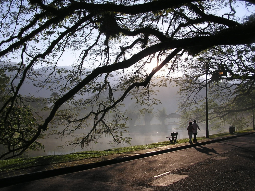 Taiping Lake Gardens 01