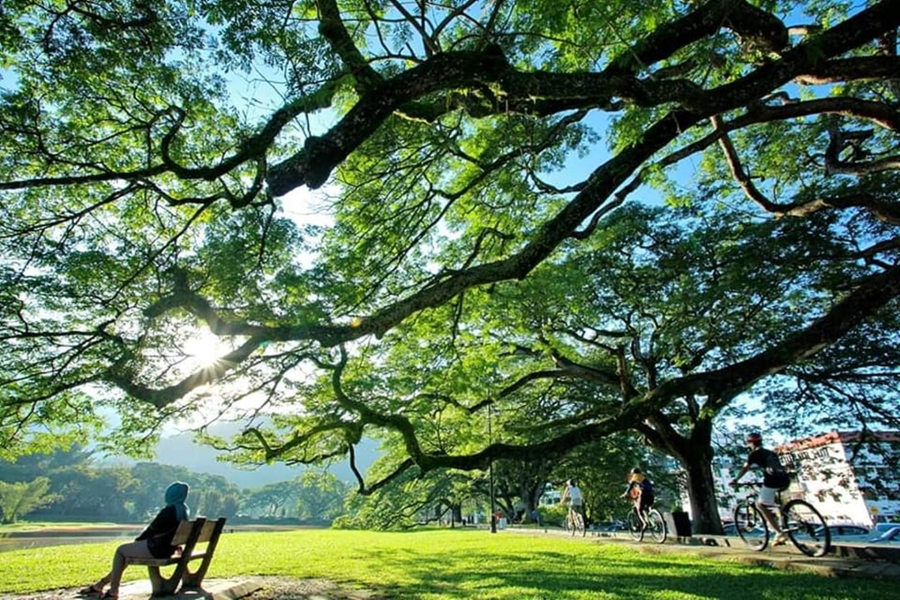 Taiping Lake Gardens 02