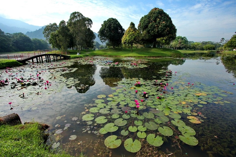 Taiping Lake Gardens 06