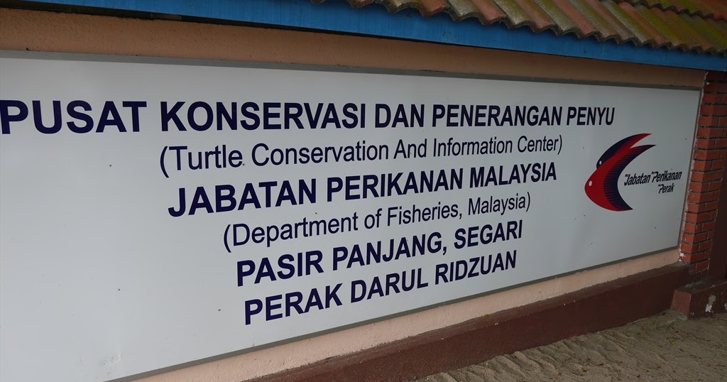 Turtle Sanctuary 01